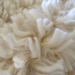 How does fiber diameter affect fleece weight and density?