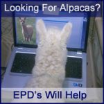 How Much Is An Alpaca Worth?