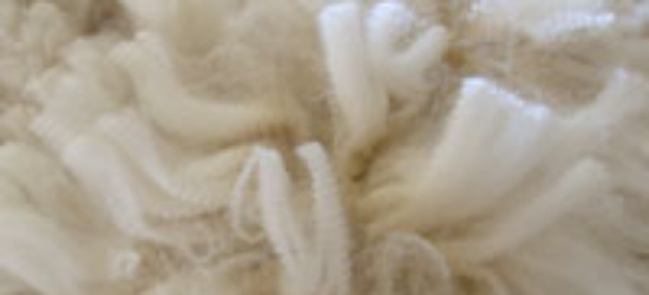 How does fiber diameter affect fleece weight and density?